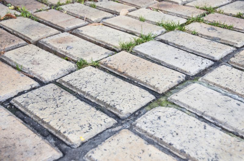 Brick Flatwork Repair in Bethpage, TN