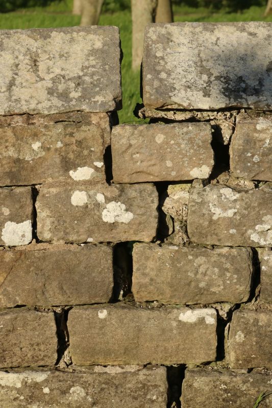 Stone Wall Repair in Brentwood, TN
